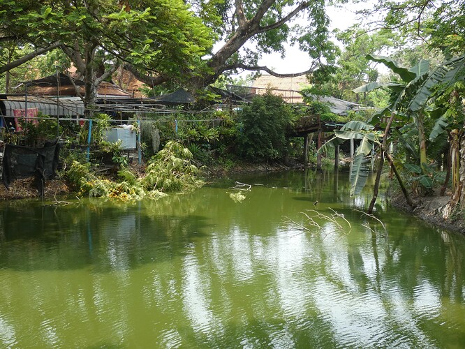 Parc Bueng Phra Ram