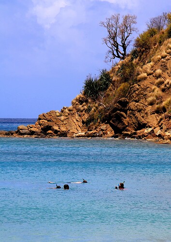 Snorkeling