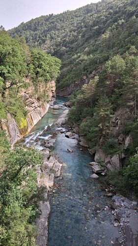 IMG-20250614-WA0008