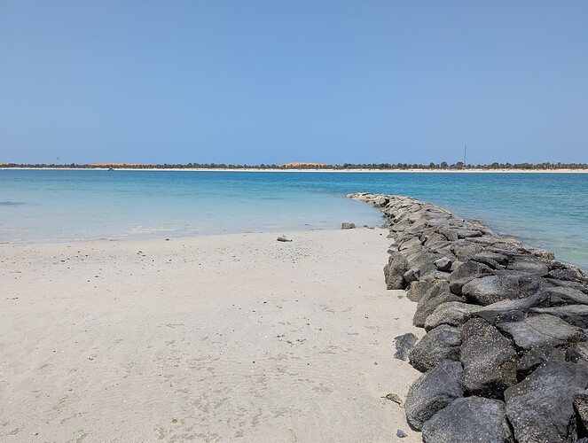 PXL_20250419_075541499_1