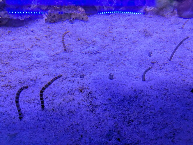 PXL_20251028_115114360_1