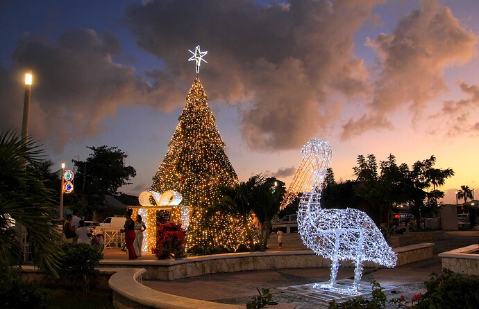 Arbre de Noël et ... pélican !