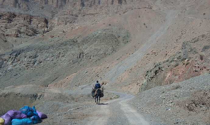 IMG-20250317-WA0031