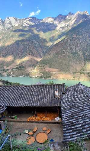 IMG-20251126-WA0017
