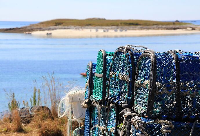 Re: Souvenirs d’escapades en Bretagne, principalement dans le sud du Finistère. (seconde partie)  De Concarneau … aux îles des Glénan. - jem