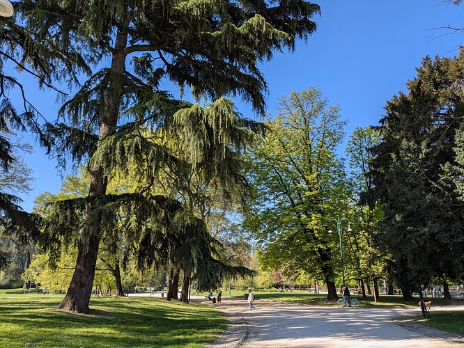PXL_20250406_082717110