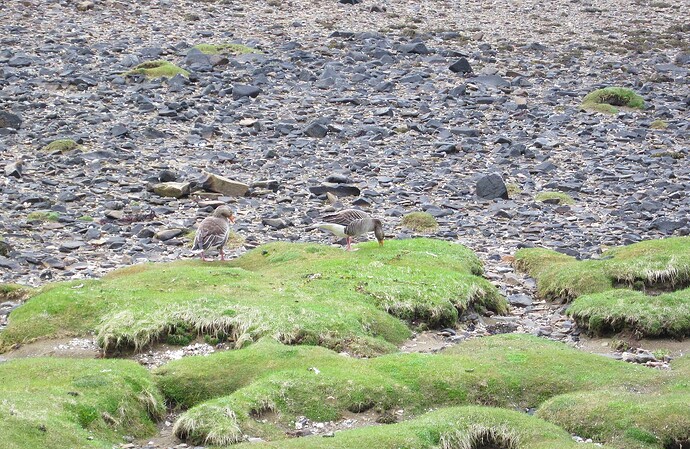 Ecosse 2013 304