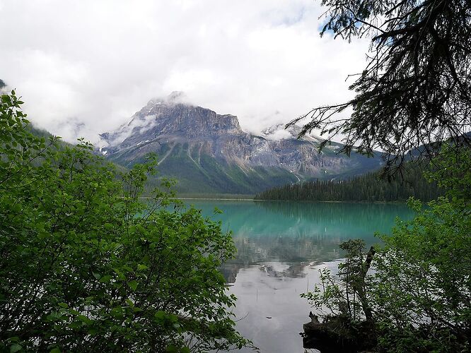 L'Ouest canadien à pleins poumons: épisode 1, les Rocheuses et la chaîne Alberta - fabienne65