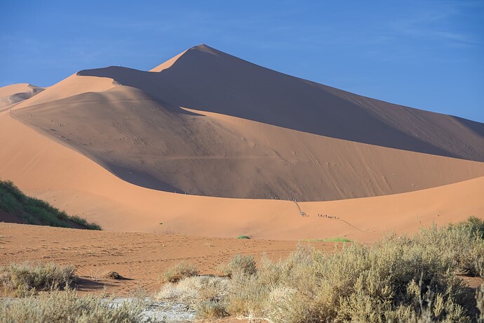 _NZ60690