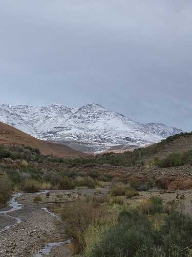 IMG-20260305-WA0004