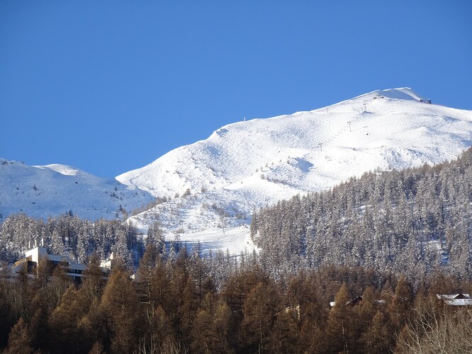 DSC02921_1