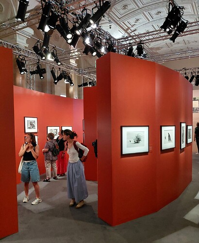 Salgado 15