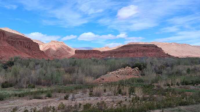 IMG-20260406-WA0005