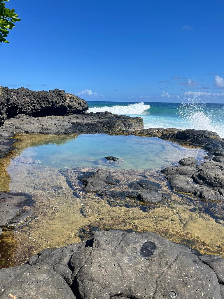 Île Maurice, Rodrigues
