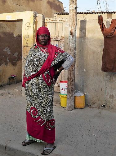 Visages et instantanés du Sénégal, Saint Louis et ses environs ... - fabienne65