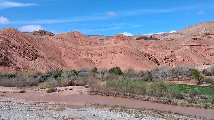IMG-20260322-WA0017(1)