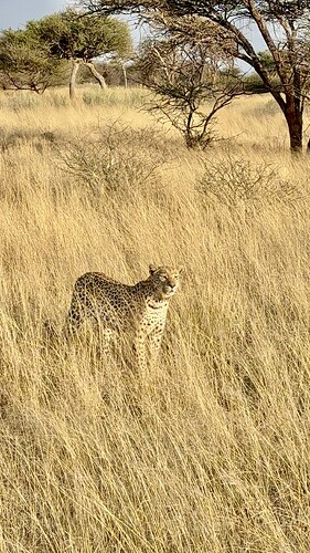 IMG_1869