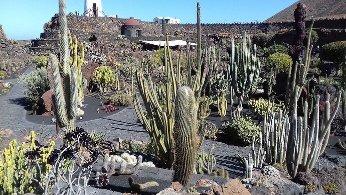 Récit d'une semaine à Lanzarote fin janvier (avec photos) - francis31