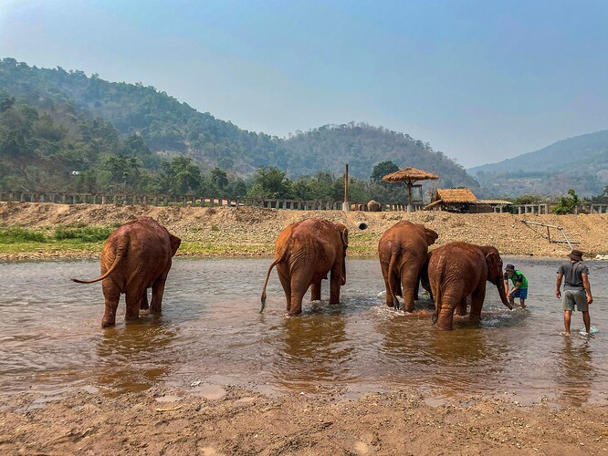 Elephant Nature Park