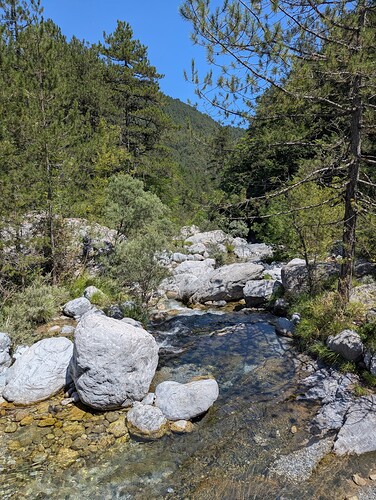 PXL_20250809_110141035_1