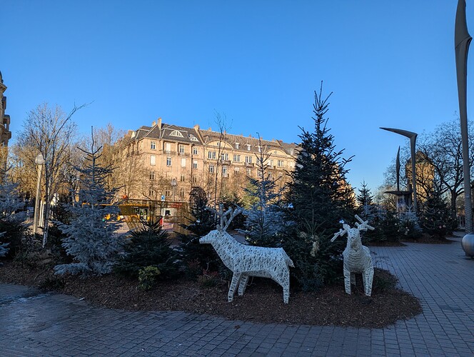 PXL_20251229_141422438_1