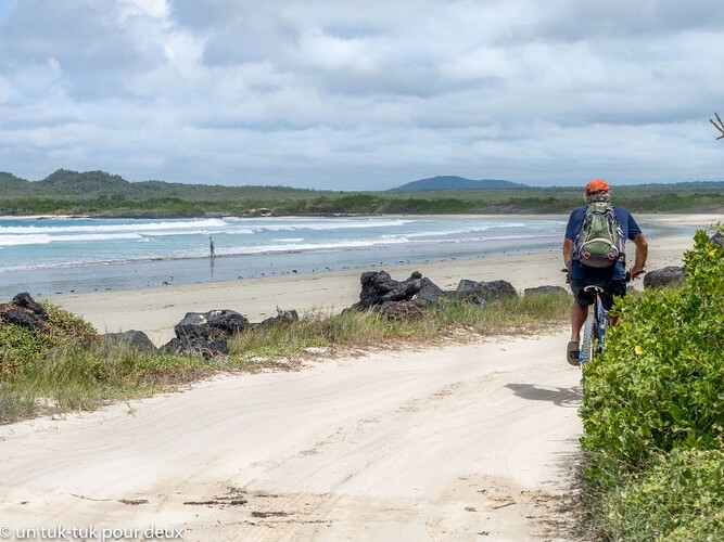 12 jours aux Îles Galápagos en autonomie, c'est vraiment merveilleux! - un-tuk-tuk-pour-deux