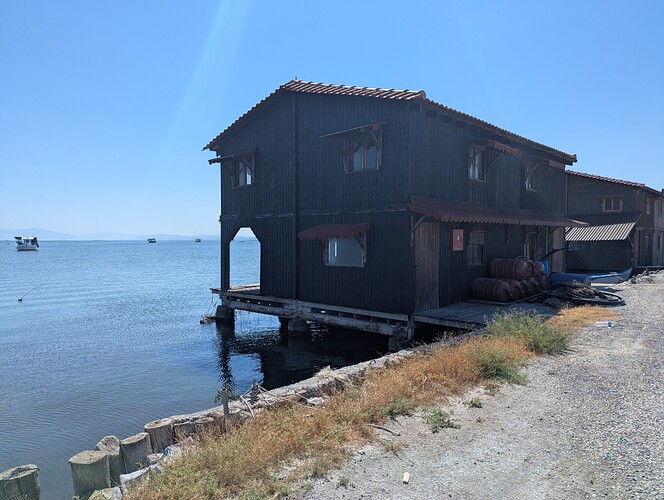 PXL_20250810_085235060_1