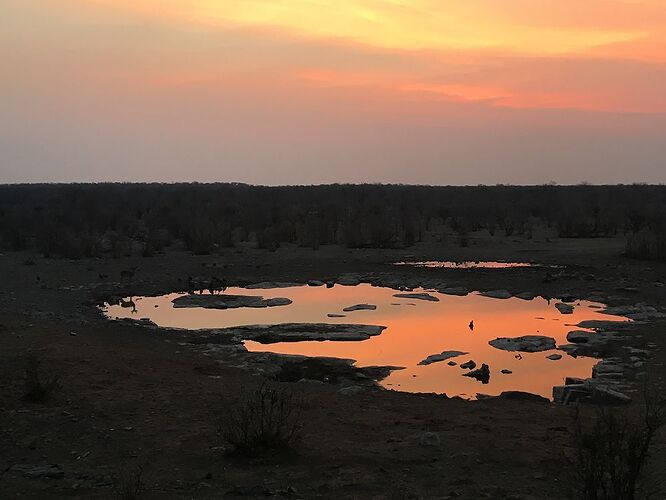 5000 km en Namibie (en passant par le Botswana et le Zimbabwe) - Berangere-D