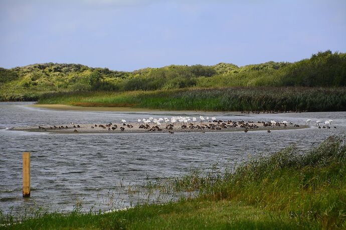 5 jours en Baie de Somme : un séjour très varié autour de Saint-Valéry - La-Corse-a-petits-pas