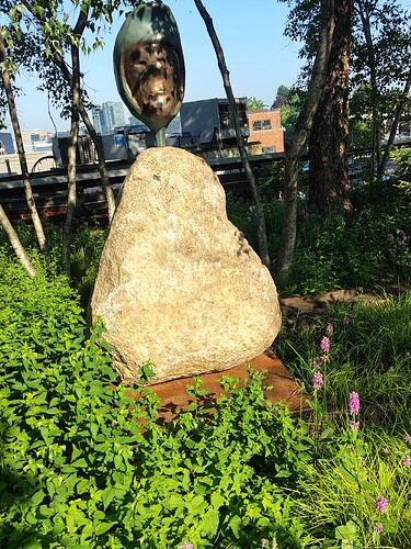 IMG_20250619_082551993_HDR