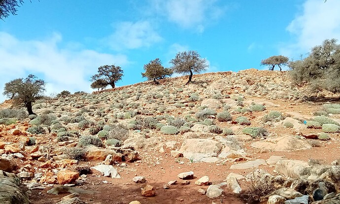 IMG-20250418-WA0001