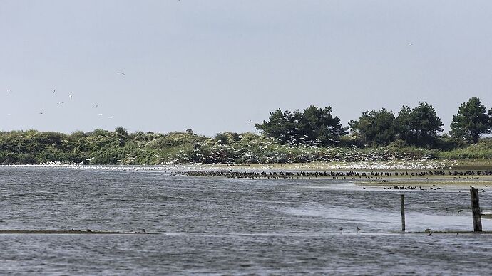 5 jours en Baie de Somme : un séjour très varié autour de Saint-Valéry - La-Corse-a-petits-pas