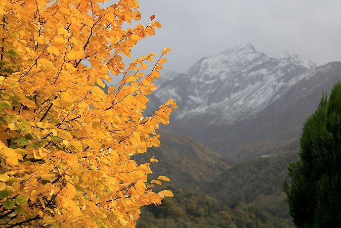 Dans les Hautes Pyrénées, teintes d'automne et blancheur hivernale - jem