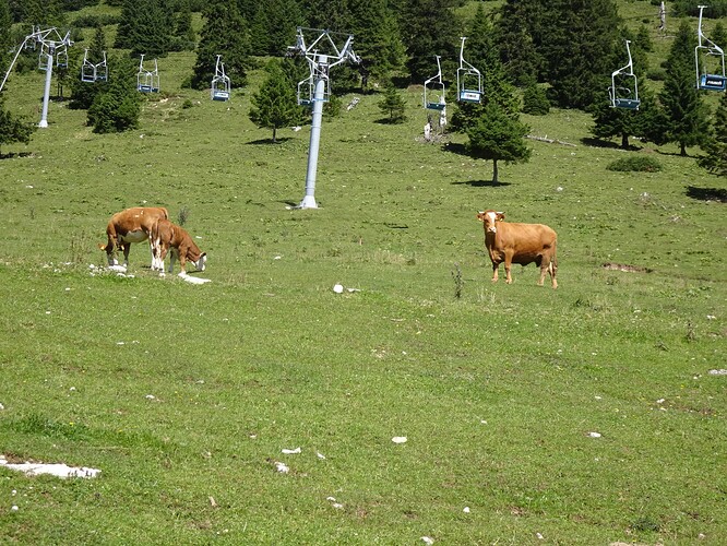 DSC00275_1