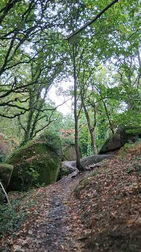 IMG-20250927-WA0003