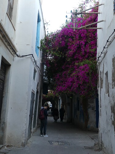 Médina de Tunis