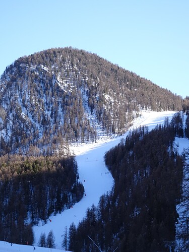 DSC02942_1