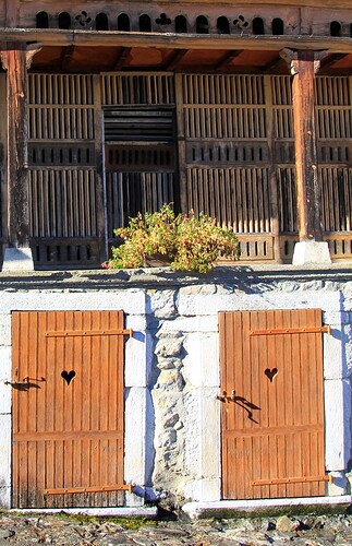 Pigeons, volailles et cochons