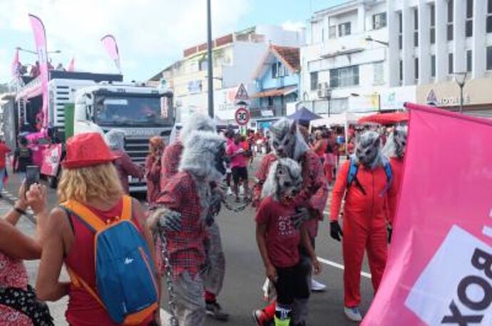 REtour de 10 jours en Martinique du 24 février au 4 mars 2020 - Gini78