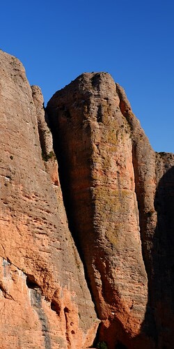 DSCF7833