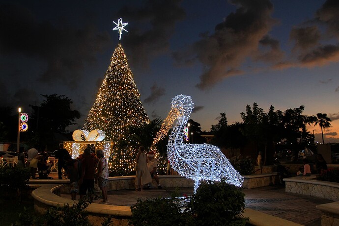 Noël à Marigot, sapin et pélican