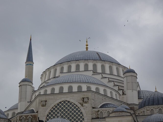 DSC04729_1