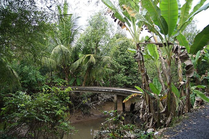 18 jours au Vietnam du Nord au sud, janvier 2018, jour 13 à 19 - lolotte34