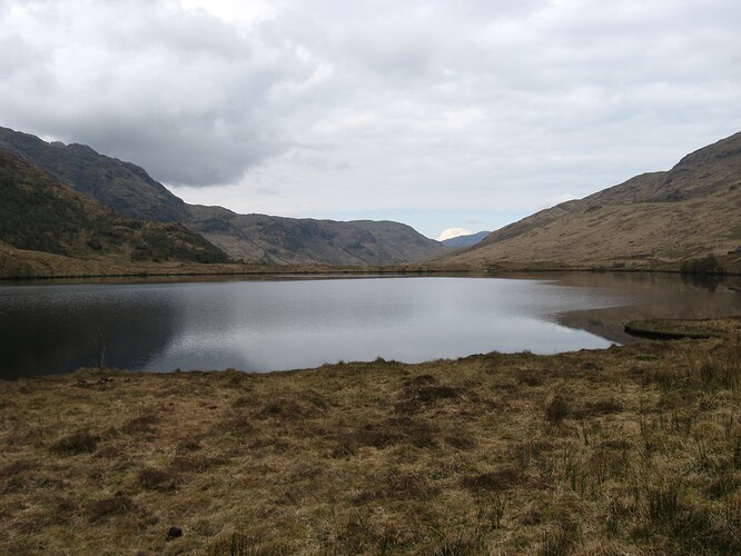 Ecosse (113)