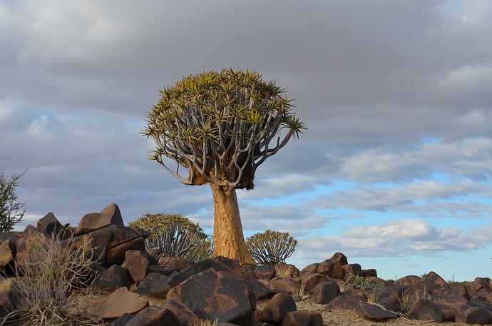 namibie (20)