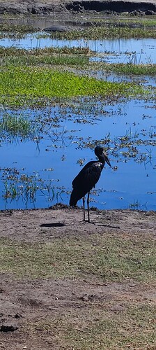 IMG_20240518_120012