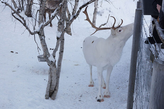 Express Côtier BERGEN / KIRKENES / BERGEN - cartesien