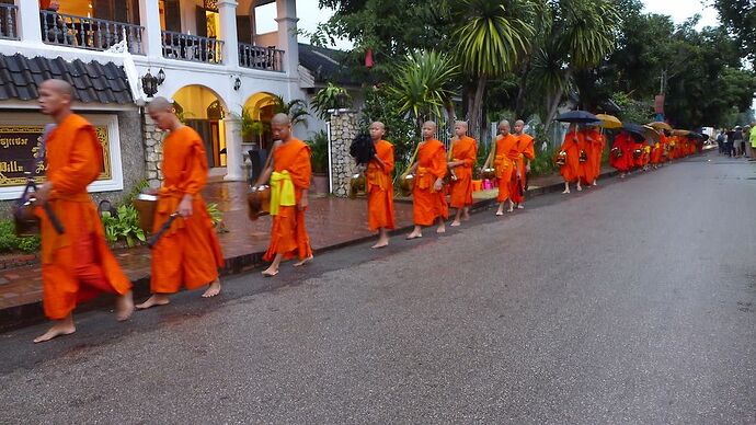 15 jours au Nord-Laos en nov 2015 - bernardlam