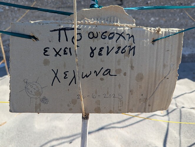 PXL_20250718_081505134_1
