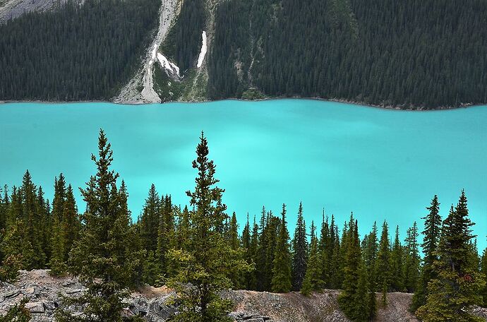 L'Ouest canadien à pleins poumons: épisode 1, les Rocheuses et la chaîne Alberta - fabienne65